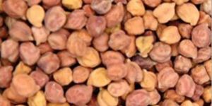 Desi Whole Chana