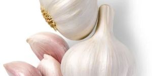 Garlic Whole