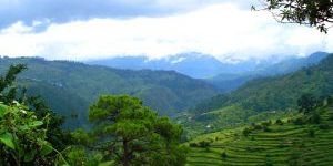 Ranikhet Tour