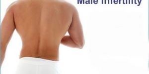 Male Infertility Treatment Services