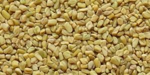 Fenugreek Seeds