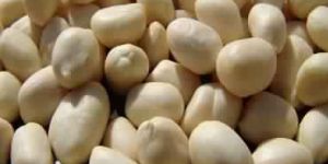 Blanched Java Peanuts