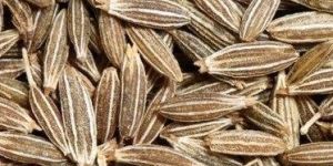 Cumin Seeds