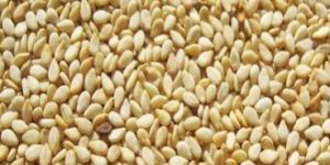 Golden Yellow Sesame Seeds