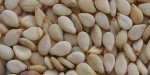 Natural Sesame Seeds