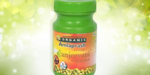 Organic Amla Prash
