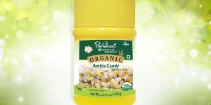 Parliament Amla Spicy Candy