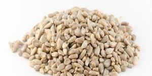 Organic Sunflower Seeds