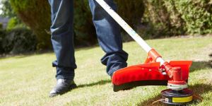 Garden Cleaning Services