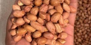 Bold Groundnut Kernels