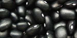Black Kidney Beans