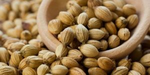 Coriander Seeds