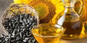 Sunflower Oil