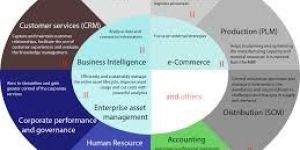 International Digital Business Development