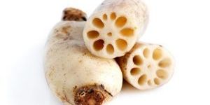 Lotus Root