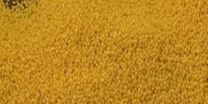 Millet