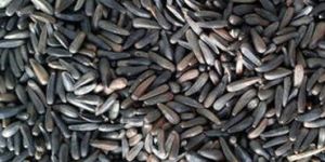 Niger Seeds