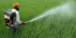 Pesticides