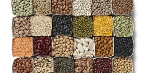 Pulses