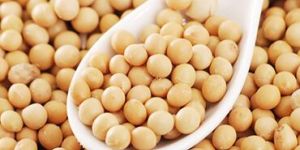 Natural Soybean