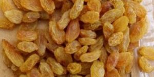 Golden Raisins