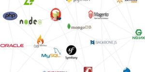 Dynamic Website Designing