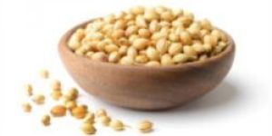 Coriander Seeds