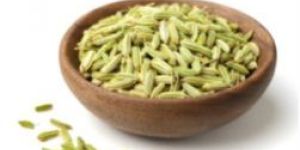 Fennel Seeds