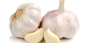Fresh Garlic