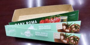 Custom Fashion Brown Cardboard Paper Food Box