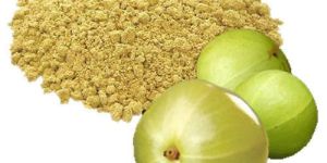 Amla Powder