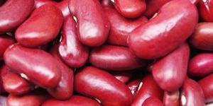 Kidney Beans