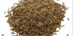 Cumin Seed