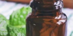 Peppermint Essential Oil