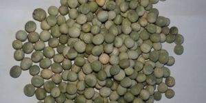 Dried Green Peas