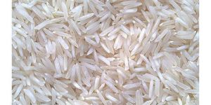 Basmati Rice