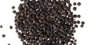 Black Pepper Seeds