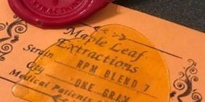 Maple Leaf Shatter
