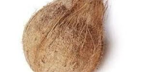 Semi Husked Coconut