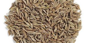 Cumin Seeds