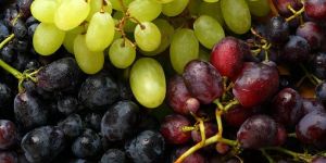 Fresh Organic Grapes
