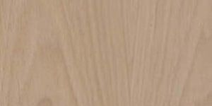 Century Veneers
