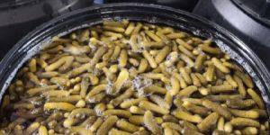 Vinegar Mini Gherkins