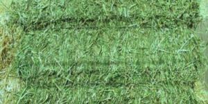 Alfalfa Hay