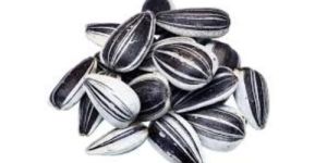 Sunflower Seeds