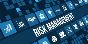 Risk Management Consultant Services