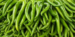 Fresh Green Chilli