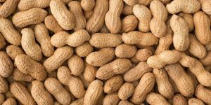 Shelled Groundnuts
