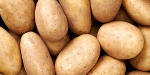 Fresh Potato