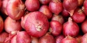 Nasik Red Onion